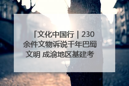 文化中国行｜230余件文物诉说千年巴蜀文明 成渝地区基建考古成果展开展